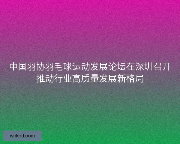 中国羽协羽毛球运动发展论坛在深圳召开推动行业高质量发展新格局